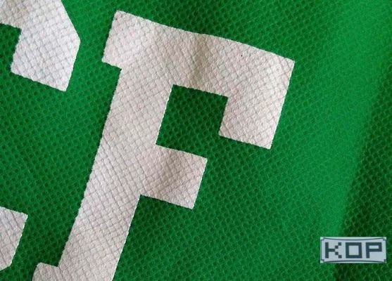 البوليستر غير NON - نسج صبغ الصباغ الايكولوجية المذيبات الحبر مطبوعة قماش ماتي